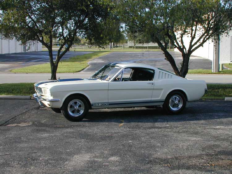 1965 GT 350