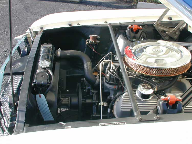 1965 GT 350